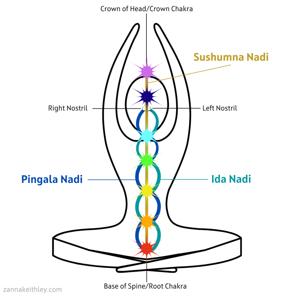 Chandrabhedi (Chandrabhedana) or Left Nostril Breathing : How to Do It,  Benefits, Step by Step Instructions & Precautions